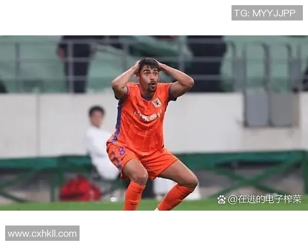 外国足球明星遭遇诈骗事件揭示体育界潜在风险与保护措施的重要性